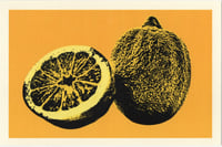 Image 1 of Lemons Postcard