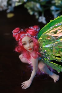 Image 1 of Flower fairy 