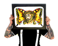 Jesus butterfly