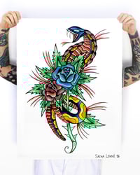 Snake rose