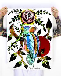 Parrot