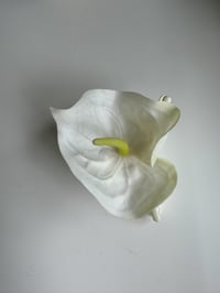 Image 1 of xl white anthurium claw clip