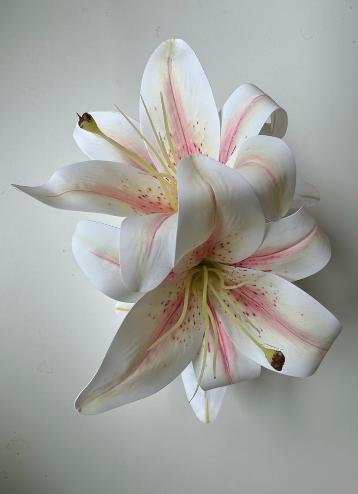 Image of PREORDER xl madonna lily claw clip 