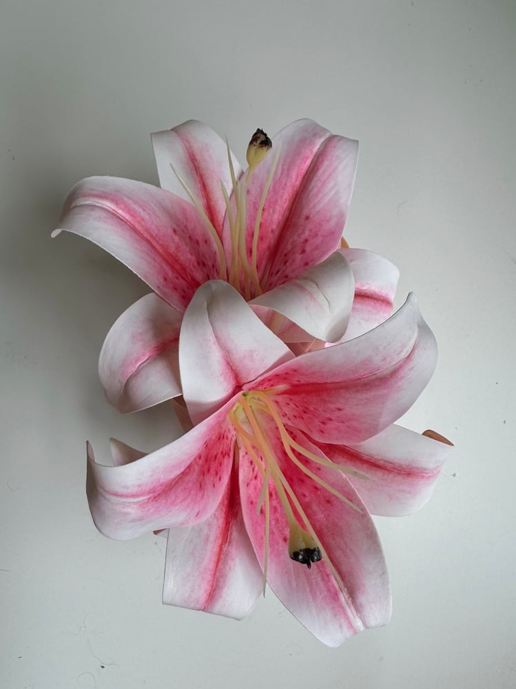 Image of PREORDER xl pink lily claw clip