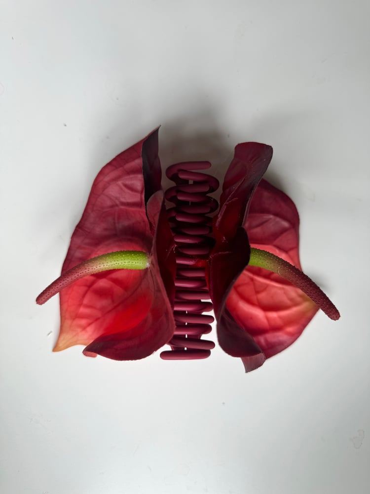 Image of PREORDER anthurium claw clip