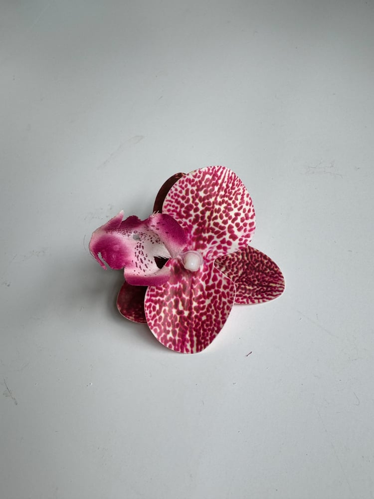 Image of PREORDER spotty orchid hair clip