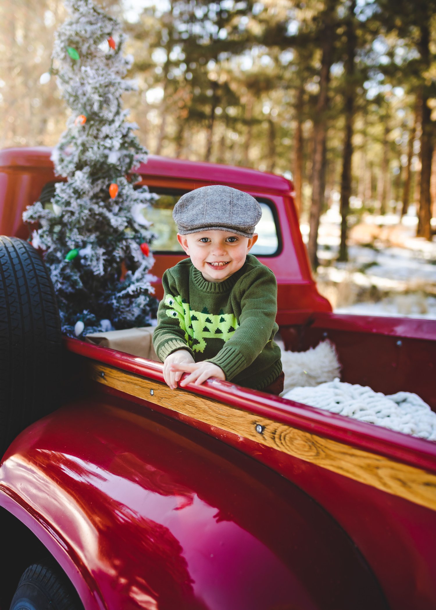 Image of Red Truck Christmas mini