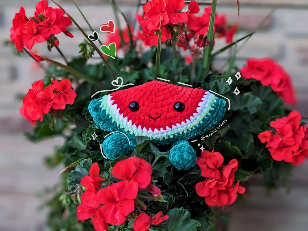 Image of Watermelon Buddy