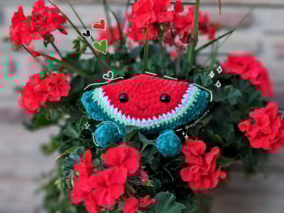 Image of Watermelon Buddy