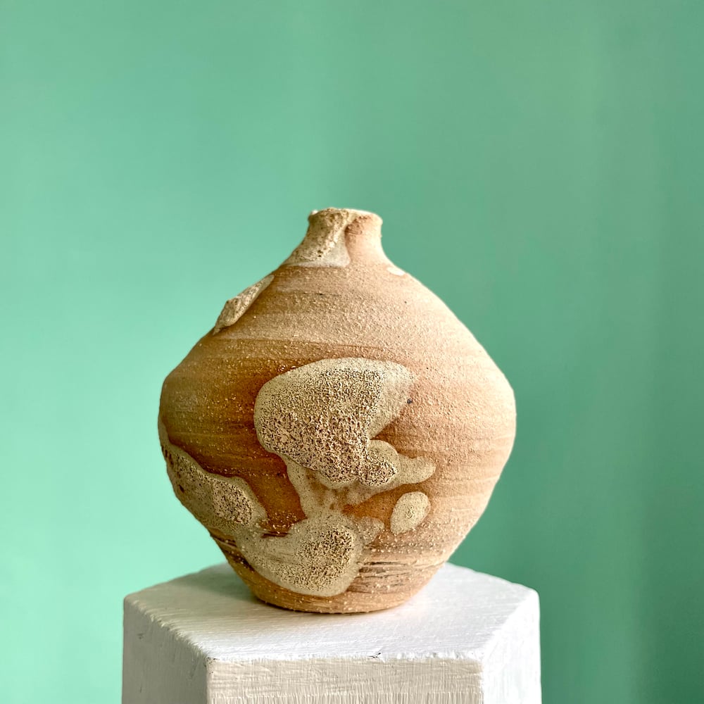 Image of Reef vase 