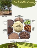African Raw Shea Butter
