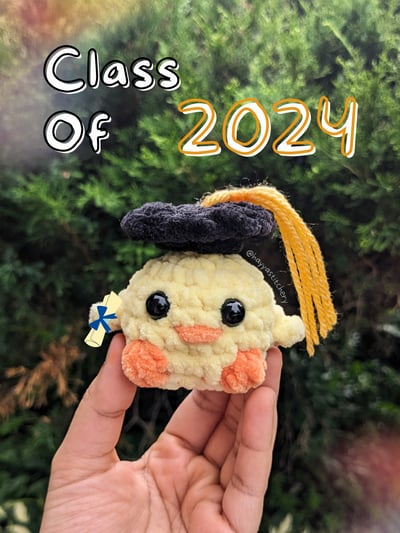 Image of smol duck