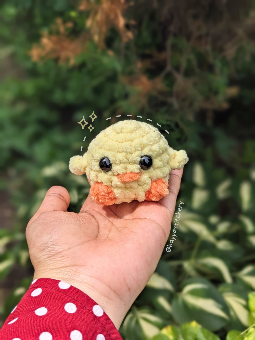 Image of smol duck