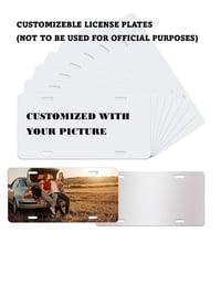 Image 2 of Custom Decorative License Plate 2 Pack(U.S.A and Mexcian States) - Not Intended for Official Use