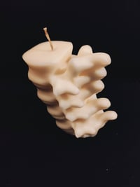 Image 1 of Spine