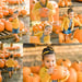 Image of Santa's Farm Eustis– Pumpkin Patch Mini Session