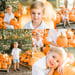 Image of Santa's Farm Eustis– Pumpkin Patch Mini Session