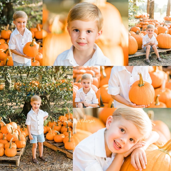 Image of Kids Only – Pumpkin Patch Mini Session 