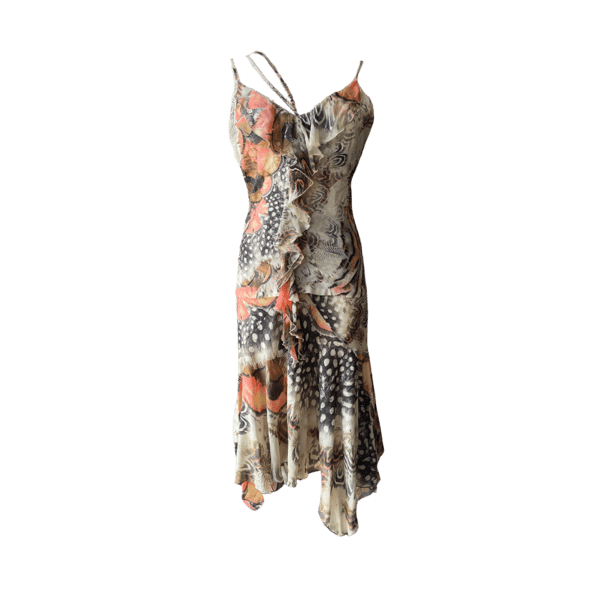 Image of ROBERTO CAVALLI SPRING 2004 RUNWAY FEATHER PRINT SILK SET