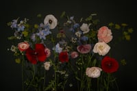 Still Life with Garden Flowers Second Edition