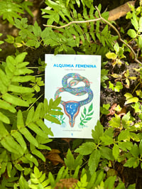 Image 1 of Libro Alquimia Femenina 