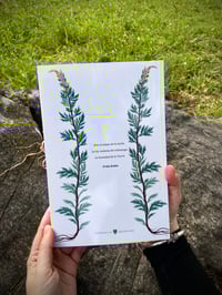 Image 4 of Libro Alquimia Femenina 