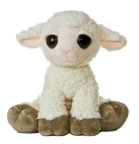 Image 1 of Chewy the lamb