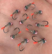 Image 2 of Tasmanian Devil