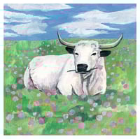 Image 1 of Taurus