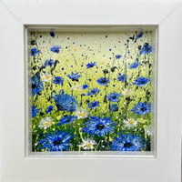 Image 3 of 'Cornflower Canopy'