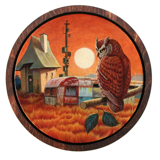 Image of Owl at Dusk