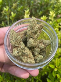 Punch Breath THCa hemp flower (free shipping)