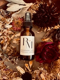 Abundant Life Manifest Spray