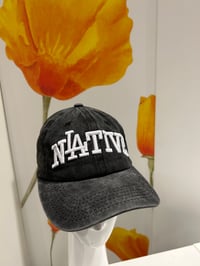 Image 6 of Native Hat