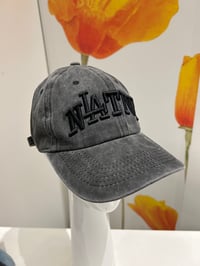Image 10 of Native Hat