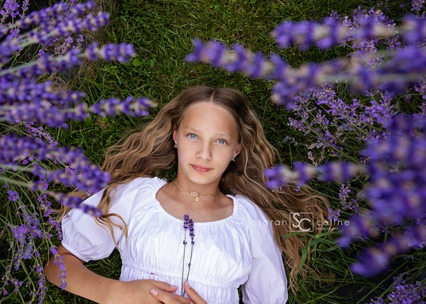 Image of Lavender Mini Session (July 2024)