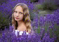 Image 5 of Lavender Mini Session (July 2026)