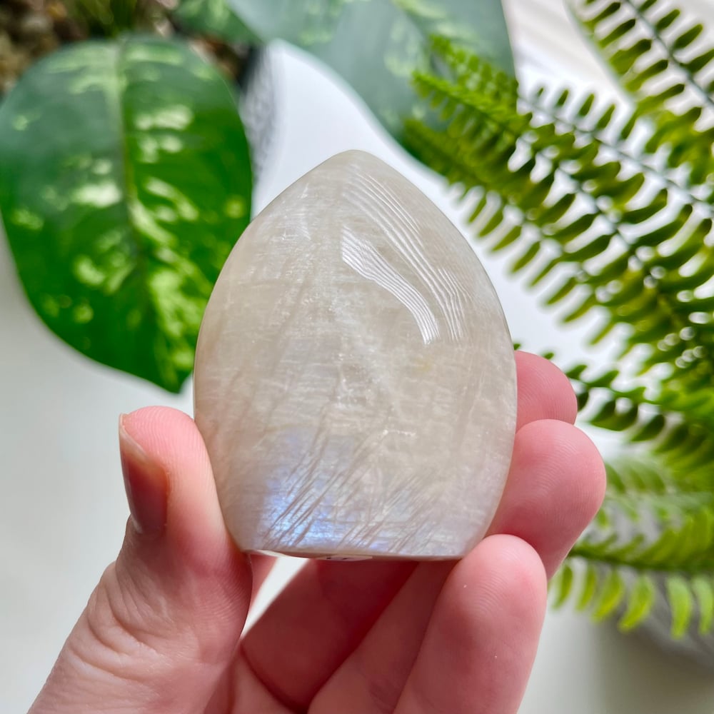 Moonstone Freeform D