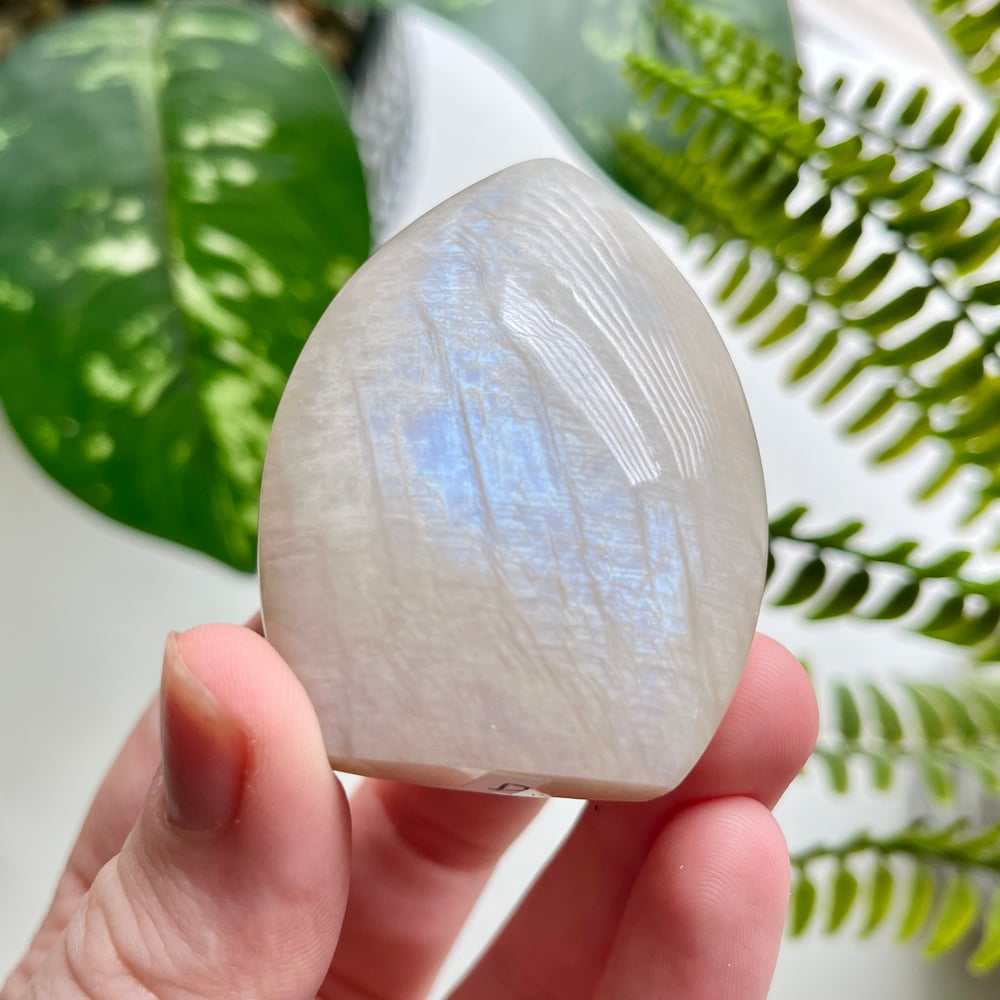 Moonstone Freeform D