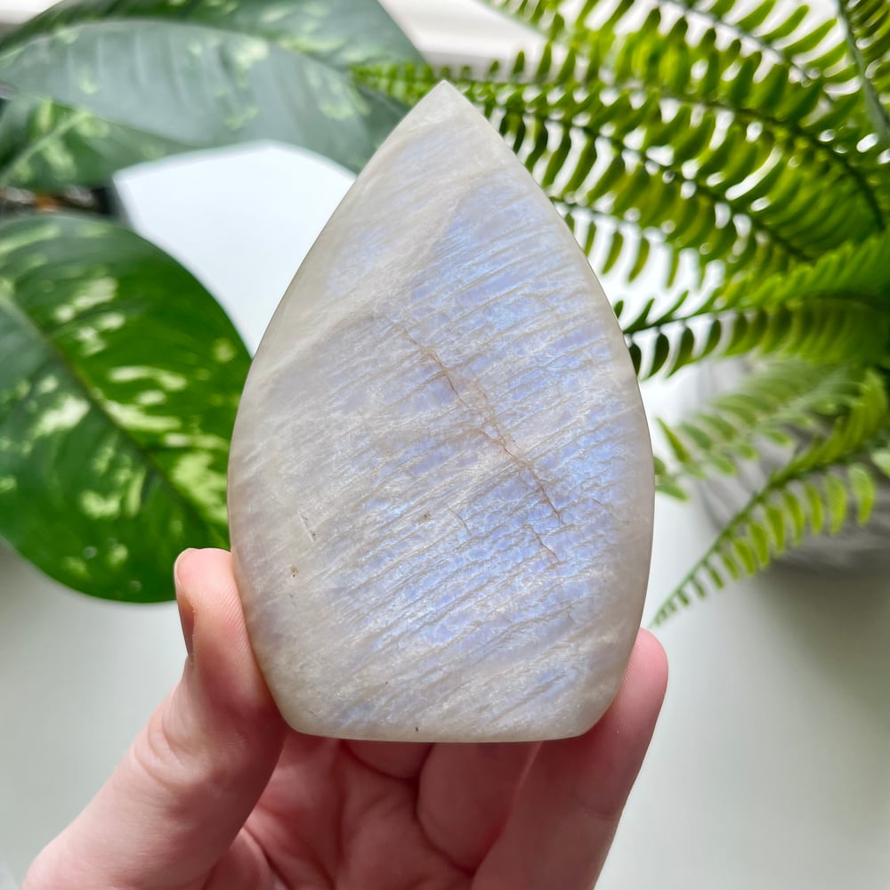 Moonstone Freeform F