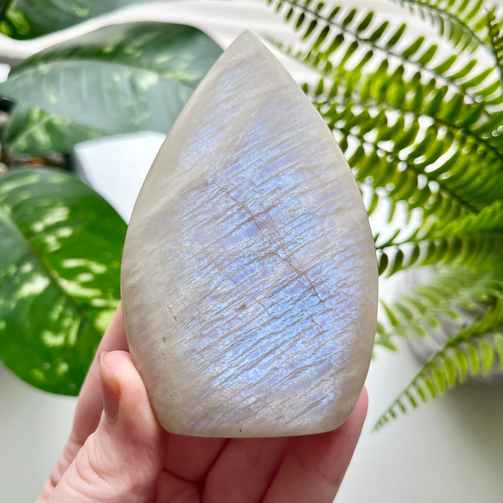 Moonstone Freeform F