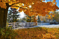 16”x24” Metal Print 