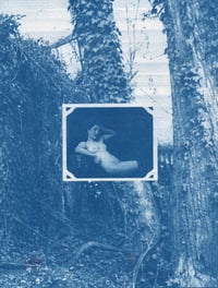 Kudzu Cyanotype