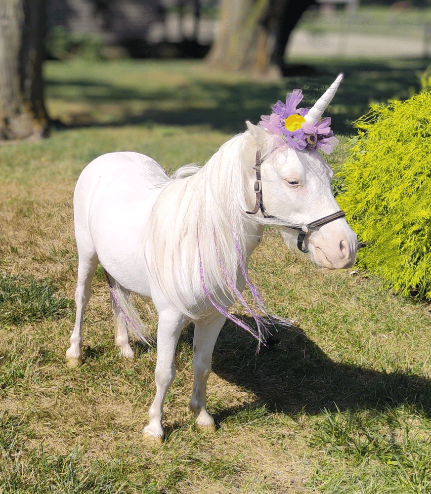 Image of 8/7 | Magical Unicorn Minis