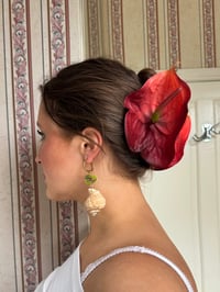 Image 3 of anthurium claw clip