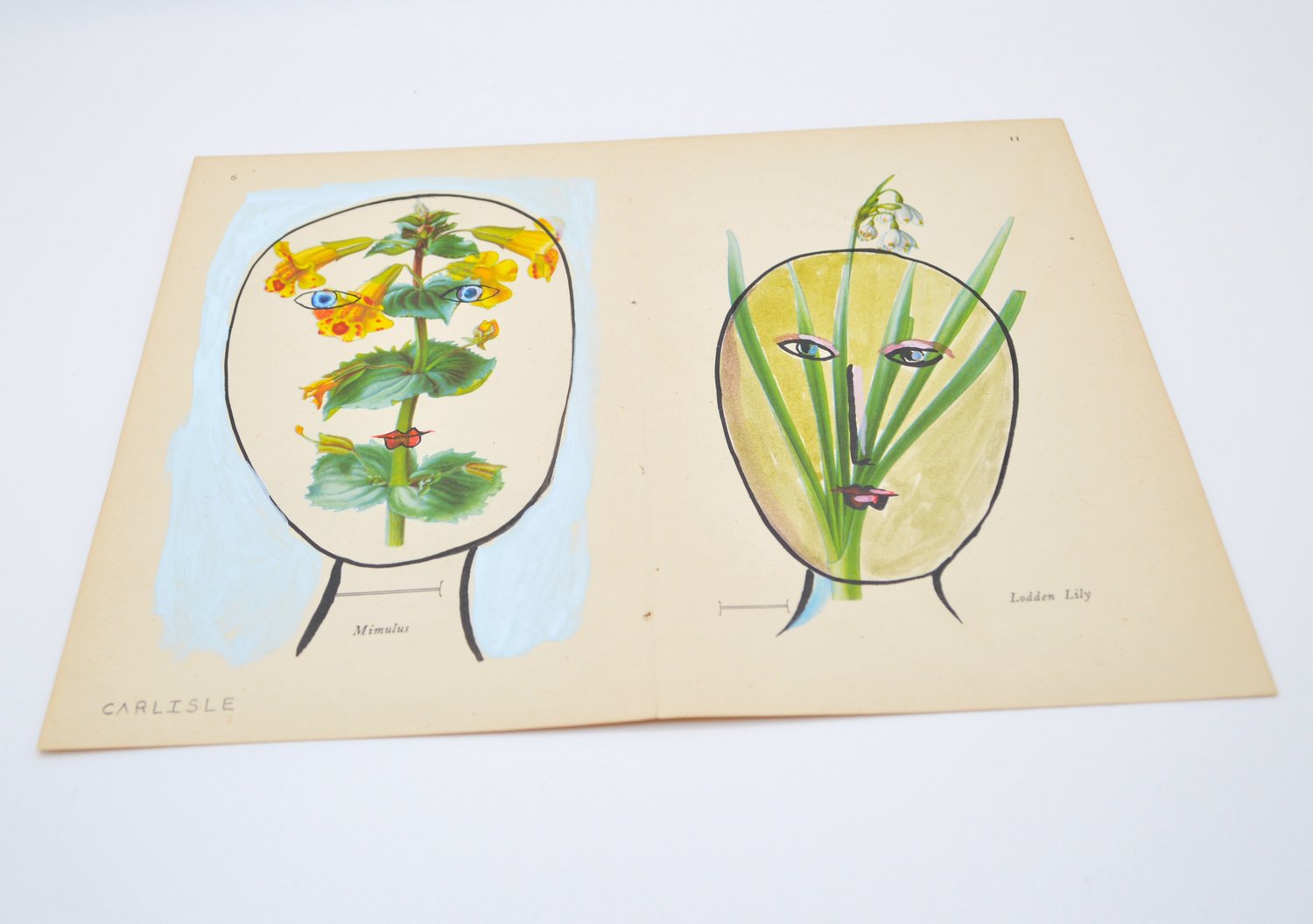 Image of Petite Flower Heads - Plate VI-XI 2013