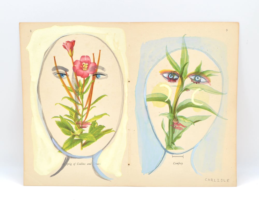 Image of Petite Flower Heads - Plate VIII-IX 2013