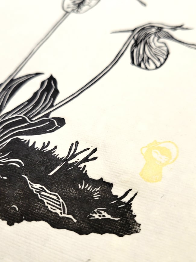 Pink Lady Slipper - black ink