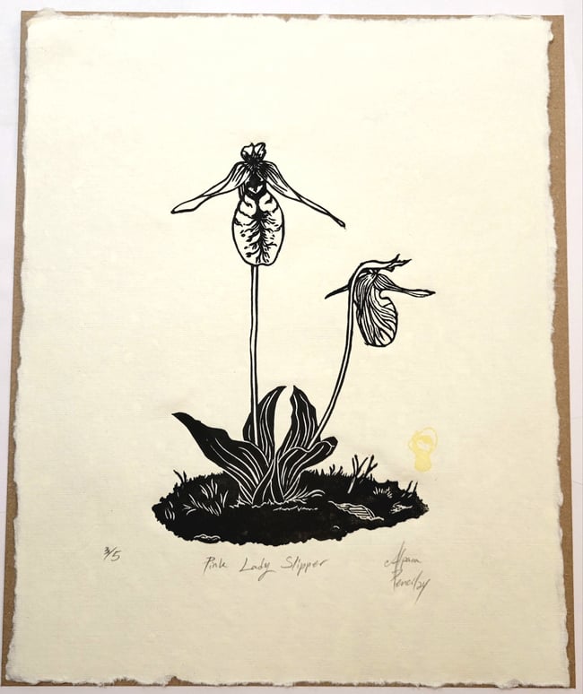 Pink Lady Slipper - black ink