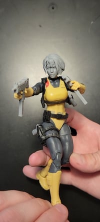 Image 4 of Regina dino crisis kit